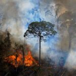 Dark clouds overshadow opening of COP27 climate summit in Egypt