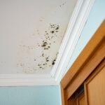 Mould on the ceiling