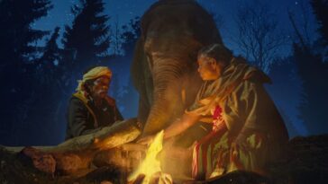 The Elephant Whisperers Release Date: Guneet Monga’s Heartfelt Documentary Out December 8 on Netflix