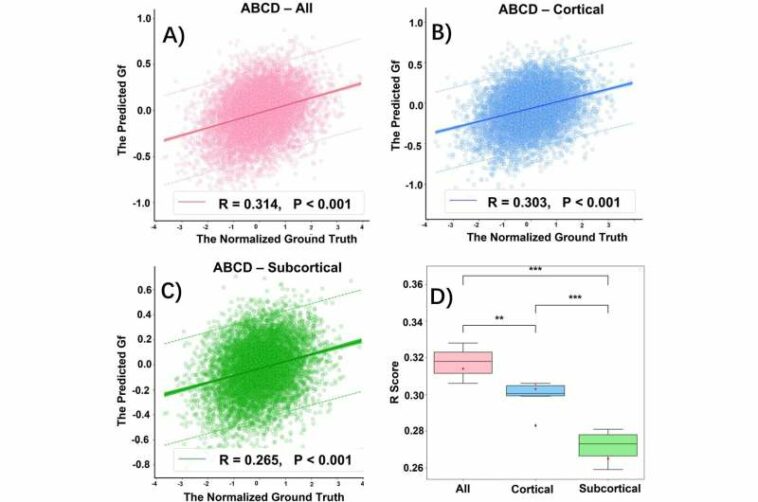 Novel deep learning method may help predict cognitive function