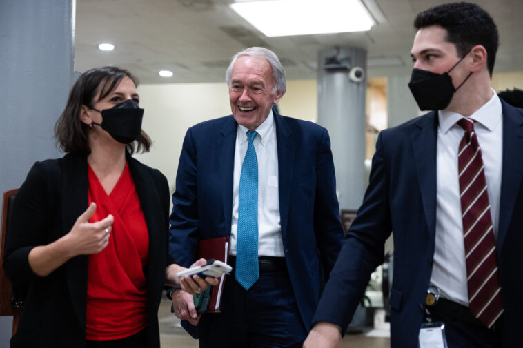 Sen. Markey vs. Musk's Twitter: The freed bird might get its wings clipped