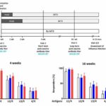 Study finds holding methotrexate for one week after flu vaccine may be as effective as a two-week hold