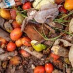 Sustainable food cold chains reduce waste, fight climate change: UN report