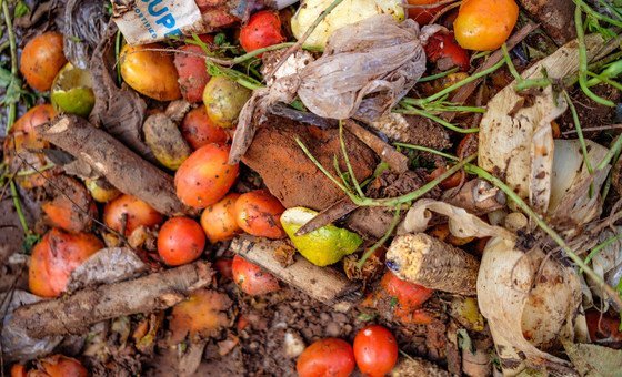 Sustainable food cold chains reduce waste, fight climate change: UN report