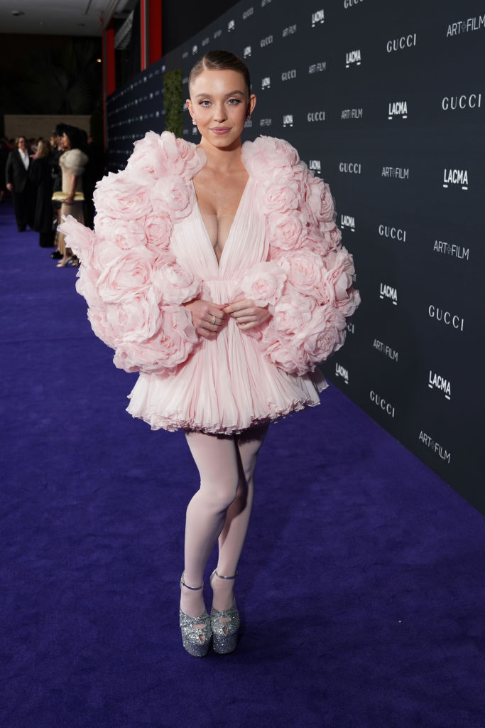 LOS ANGELES, CALIFORNIA - NOVEMBER 05: Sydney Sweeney attends the 2022 LACMA ART+FILM GALA Presented By Gucci at Los Angeles County Museum of Art on November 05, 2022 in Los Angeles, California. (Photo by Presley Ann/Getty Images for LACMA)