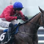 Cheltenham Festival in doubt for Sir Gerhard after injury setback as Cheveley Park suffer another blow