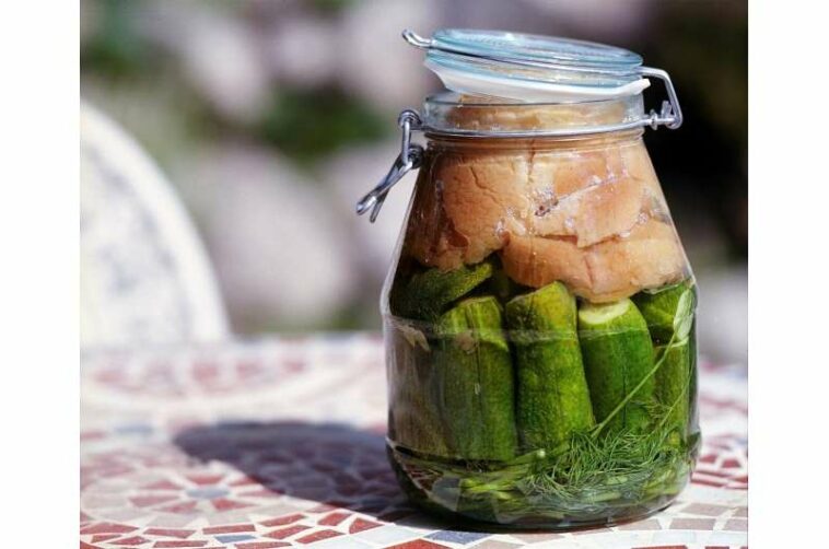 fermented food