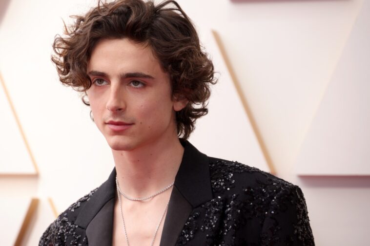 Timothée Chalamet’s Best Red Carpet Moments of 2022 