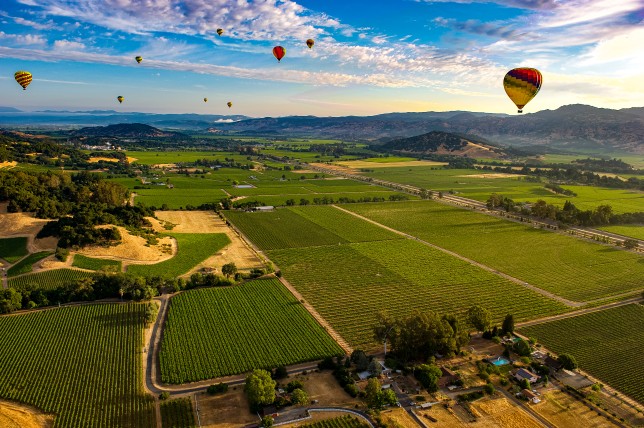 Enjoy stunning views of Napa Valley from a hot air balloon