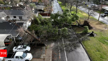 California storms: Extreme winds knock out power in Sacramento