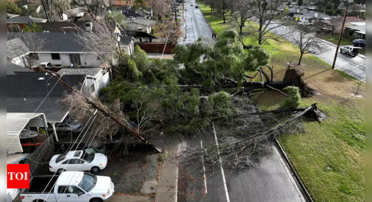 California storms: Extreme winds knock out power in Sacramento