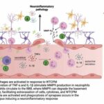 Exposure to World Trade Center dust exacerbates cognitive impairment in an animal model of Alzheimer's