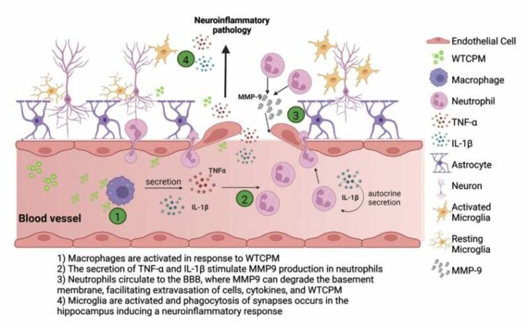 Exposure to World Trade Center dust exacerbates cognitive impairment in an animal model of Alzheimer's