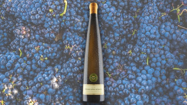 Araldica Moscato d'Asti 2020 could be a new tipple to try