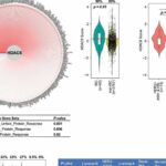 HDAC6 score found to predict the response of some cancers to ricolinostat