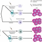 New findings on therapy-related myeloid cancers