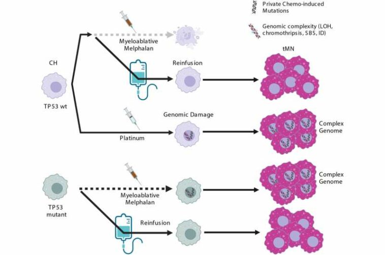 New findings on therapy-related myeloid cancers