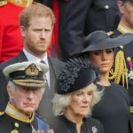 Prince Harry accuses royals of complicity in Meghan's pain