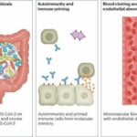 Research review suggests long covid may last indefinitely for some people and mimic other ailments