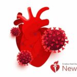 AHA news: researchers take a closer look at what COVID-19 does to the heart