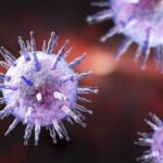 Specific immune response to Epstein-Barr virus discovered