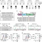 Study reveals new genetic disorder that causes susceptibility to opportunistic infections