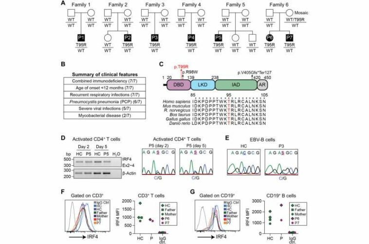 Study reveals new genetic disorder that causes susceptibility to opportunistic infections