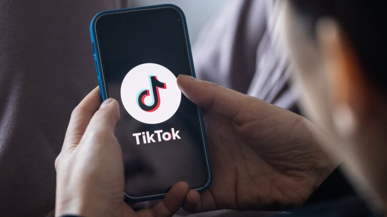 TikTok tries to sell ‘Project Texas’ as it fights for survival in the U.S.