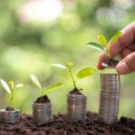 Plants growing on stacks of coins