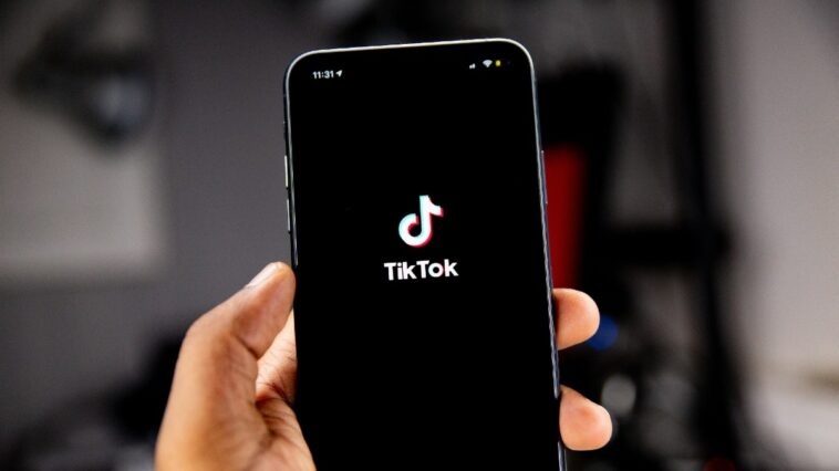 US Panel to Vote on TikTok Ban Over National Security Concerns in February