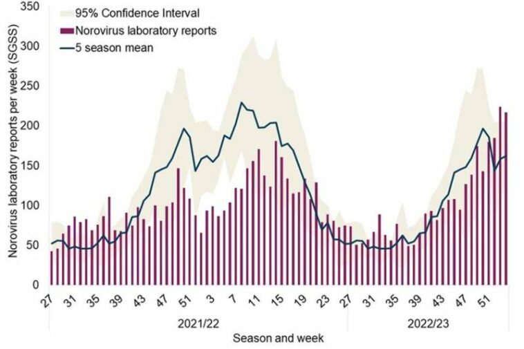 Unusual norovirus activity sees cases soar 37% higher than pre-pandemic average