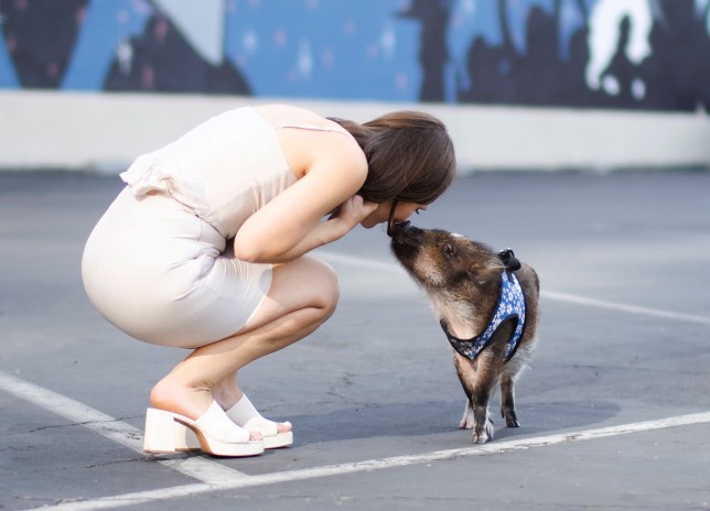 Mina Alali with pig Merlin.