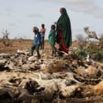 Drought in Horn of Africa worse than in 2011 famine