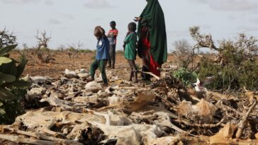 Drought in Horn of Africa worse than in 2011 famine