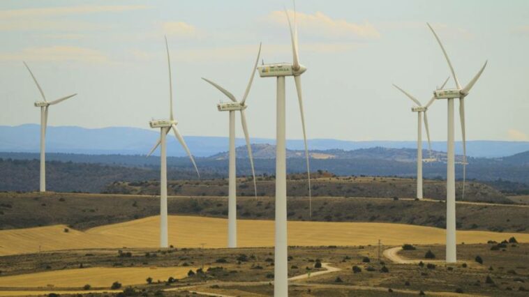 Iberdrola to fight Spanish windfall tax in courts