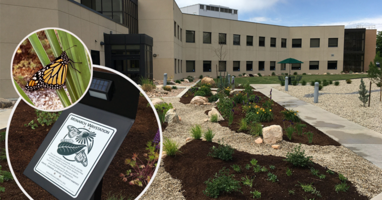 Intermountain Health's sustainability approach: Butterfly gardens, no-idling zones