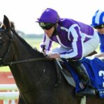 High Definition is set to miss the Epsom Derby