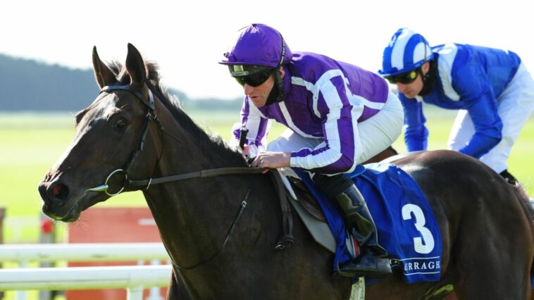 High Definition is set to miss the Epsom Derby