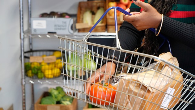 shopping basket with groceries in supermarket