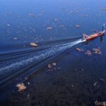 Winter rains revive Iraq’s famed marshlands