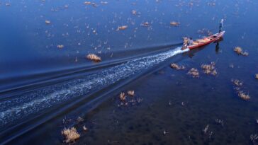 Winter rains revive Iraq’s famed marshlands