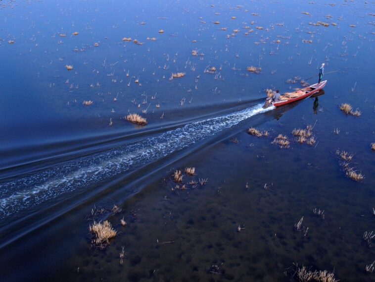 Winter rains revive Iraq’s famed marshlands