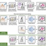 AI-based staining of biological samples