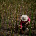 For real climate justice, it’s time for a food revolution