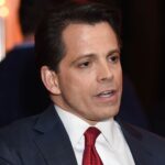 Op-ed: Blockchain and crypto need a trellis, not just a weed killer, says Scaramucci