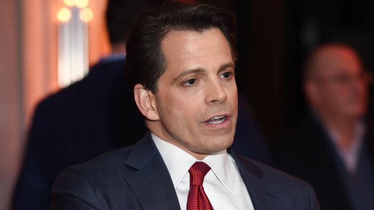 Op-ed: Blockchain and crypto need a trellis, not just a weed killer, says Scaramucci