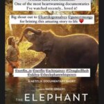 Priyanka Chopra Jonas The Elephant Whisperers