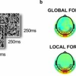 Study shows autism may be linked to different perceptions of movement in infancy