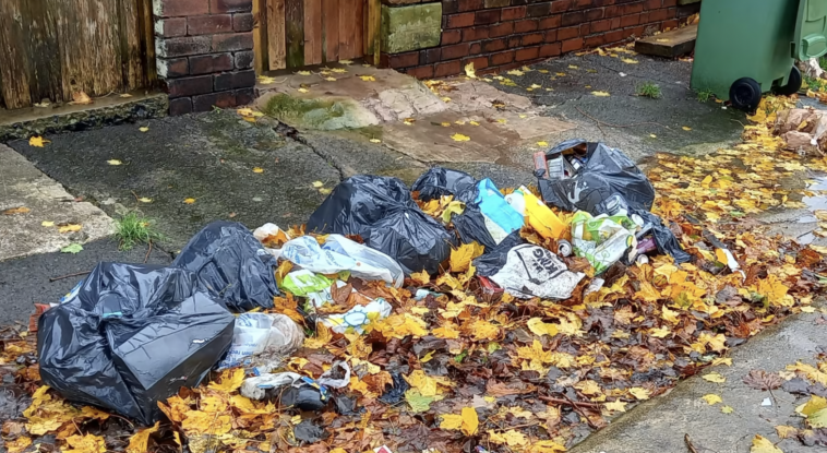 'We will take action': Man and woman prosecuted after littering 