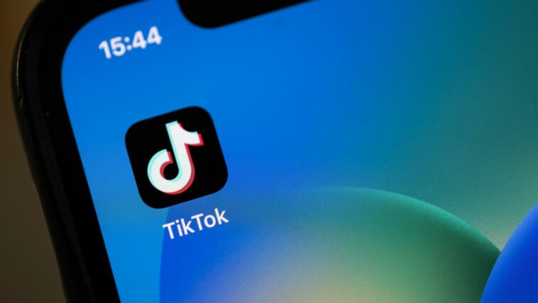 What Would a US TikTok Ban Mean for Fashion